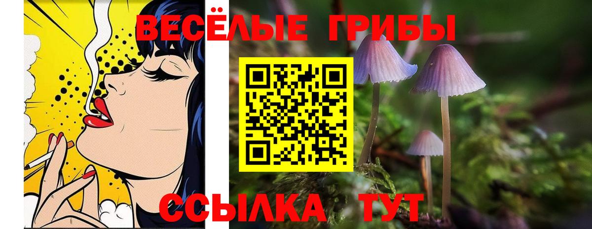 Галлюциногенные грибы GOLDEN TEACHER Ишим